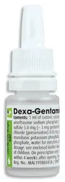  Gentamicin Eye Drop